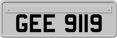 GEE9119