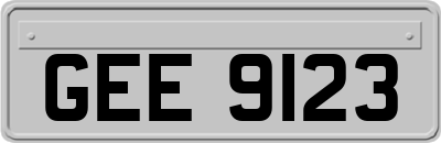 GEE9123