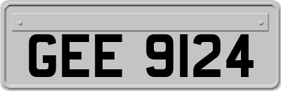 GEE9124