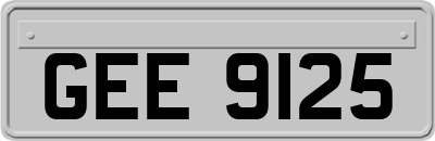 GEE9125