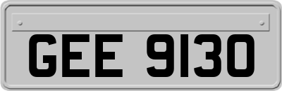 GEE9130