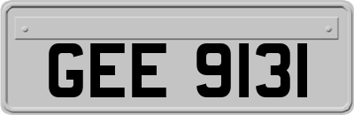 GEE9131