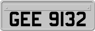 GEE9132