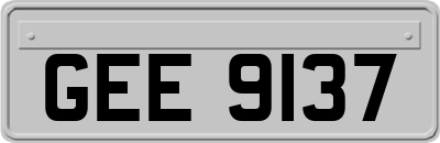 GEE9137