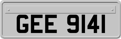 GEE9141