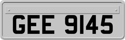 GEE9145