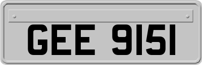 GEE9151