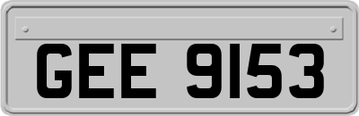 GEE9153