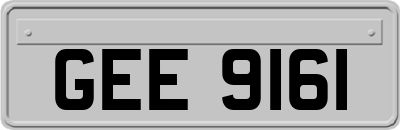 GEE9161