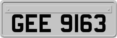 GEE9163