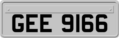 GEE9166