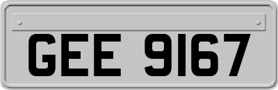 GEE9167