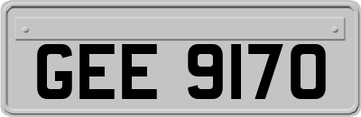 GEE9170