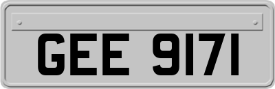 GEE9171