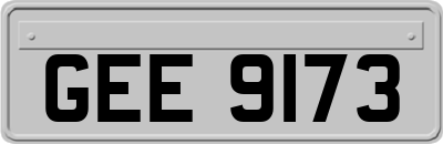 GEE9173