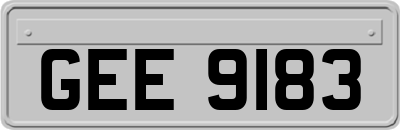 GEE9183
