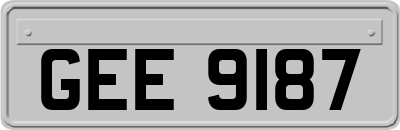 GEE9187