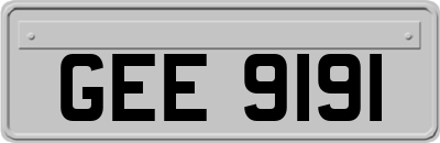 GEE9191