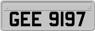 GEE9197