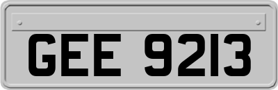 GEE9213