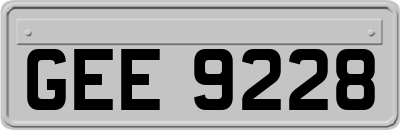 GEE9228
