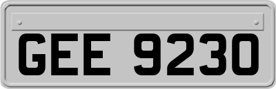 GEE9230