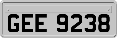 GEE9238
