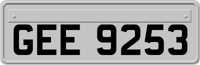 GEE9253