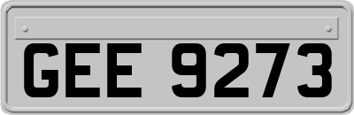 GEE9273