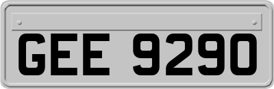 GEE9290