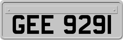 GEE9291