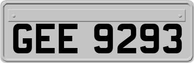 GEE9293