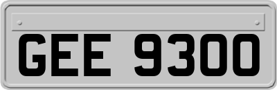GEE9300