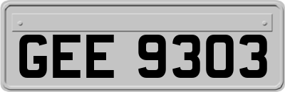 GEE9303