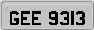 GEE9313