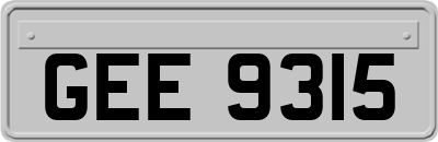 GEE9315