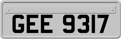 GEE9317