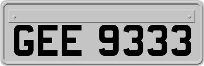 GEE9333