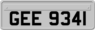 GEE9341