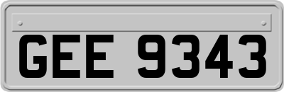 GEE9343