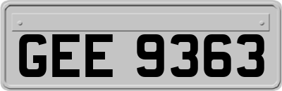 GEE9363