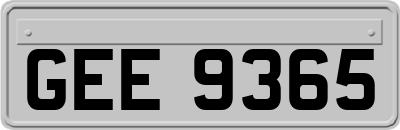 GEE9365