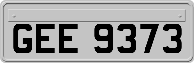 GEE9373