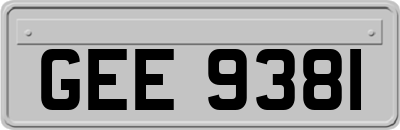 GEE9381