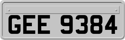 GEE9384