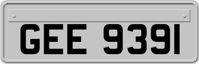 GEE9391