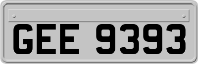 GEE9393