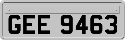 GEE9463