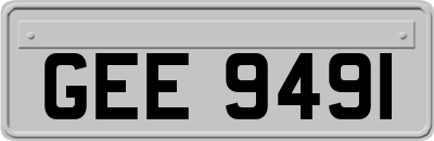 GEE9491