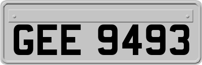 GEE9493